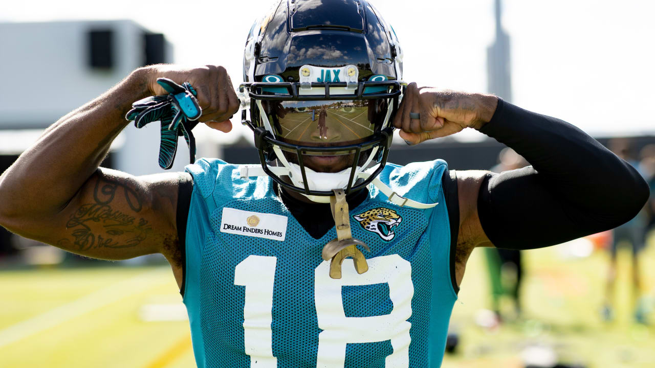 Patriots sign Laquon Treadwell to practice squad: Former Jaguars WR among  several players to work out for New England (report) 