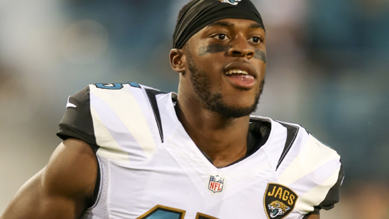 Allen Robinson enjoying breakout second season with Jaguars