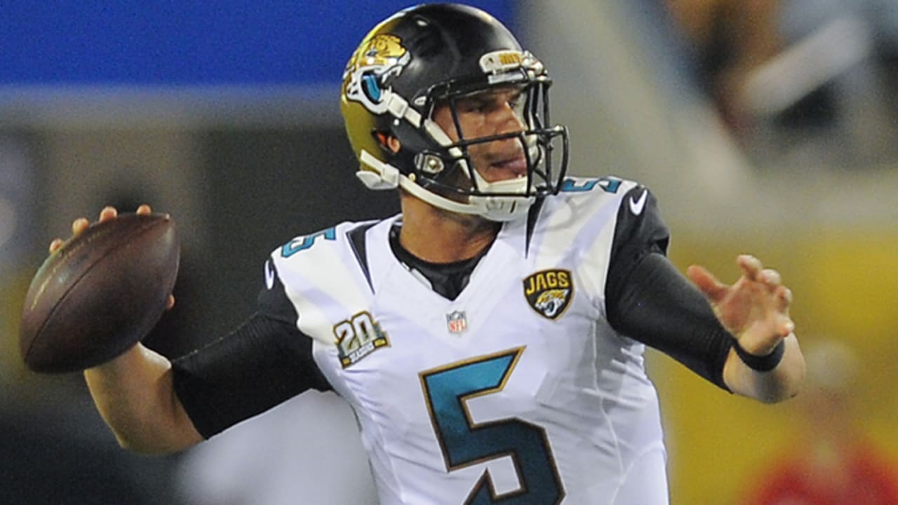 Jacksonville Jaguars release Mike Brewster, 15 others