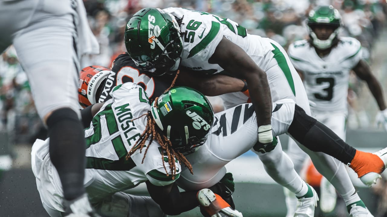 New York Jets' David Harris out to show Cincinnati Bengals' Cedric