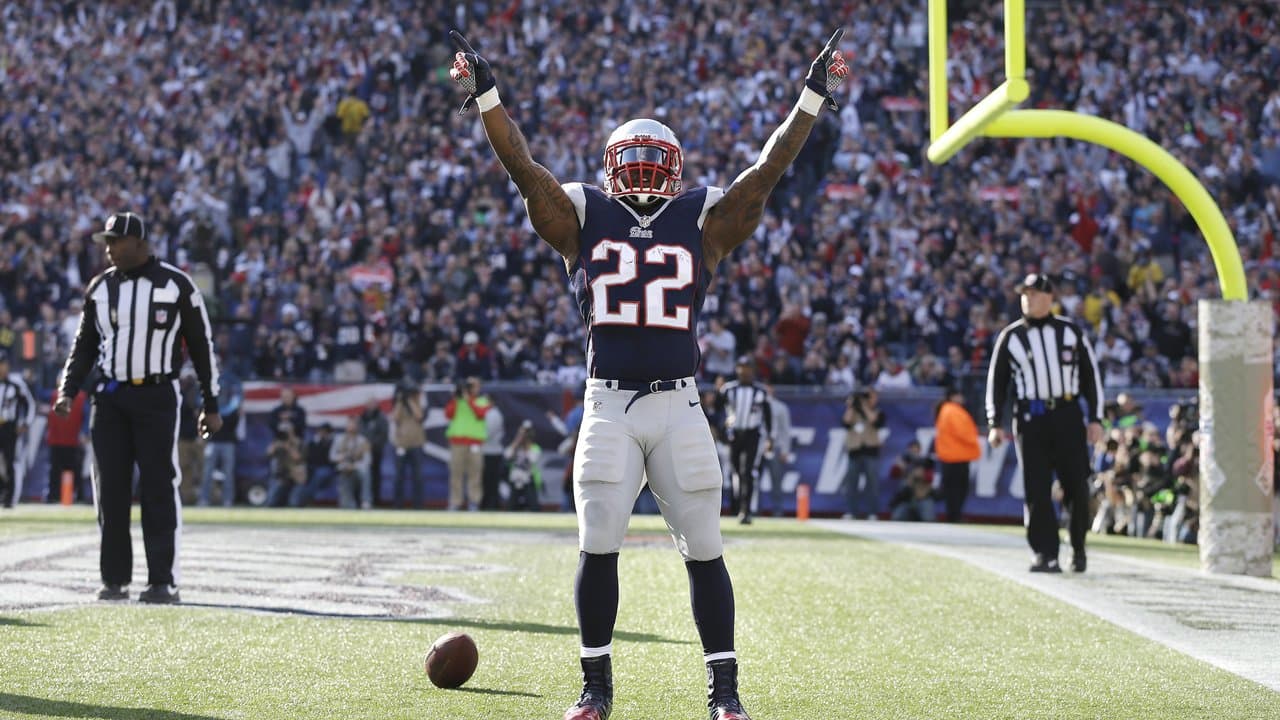 Stevan ridley clearance jersey