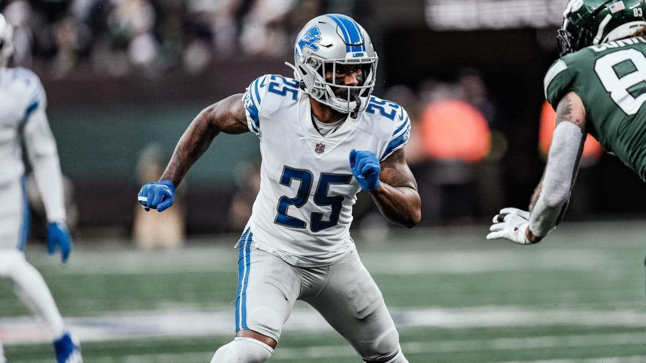 DETROIT, MI - NOVEMBER 24: Detroit Lions Safety (25) Will Harris