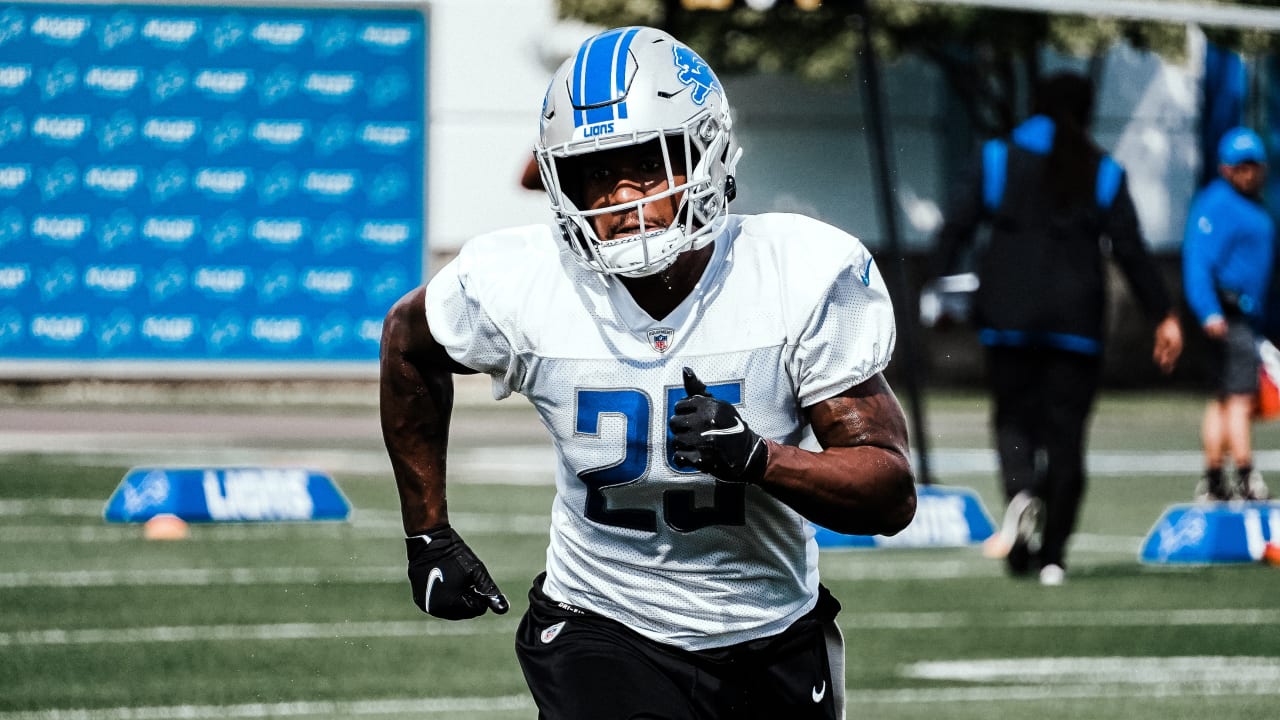 DETROIT, MI - NOVEMBER 24: Detroit Lions Safety (25) Will Harris