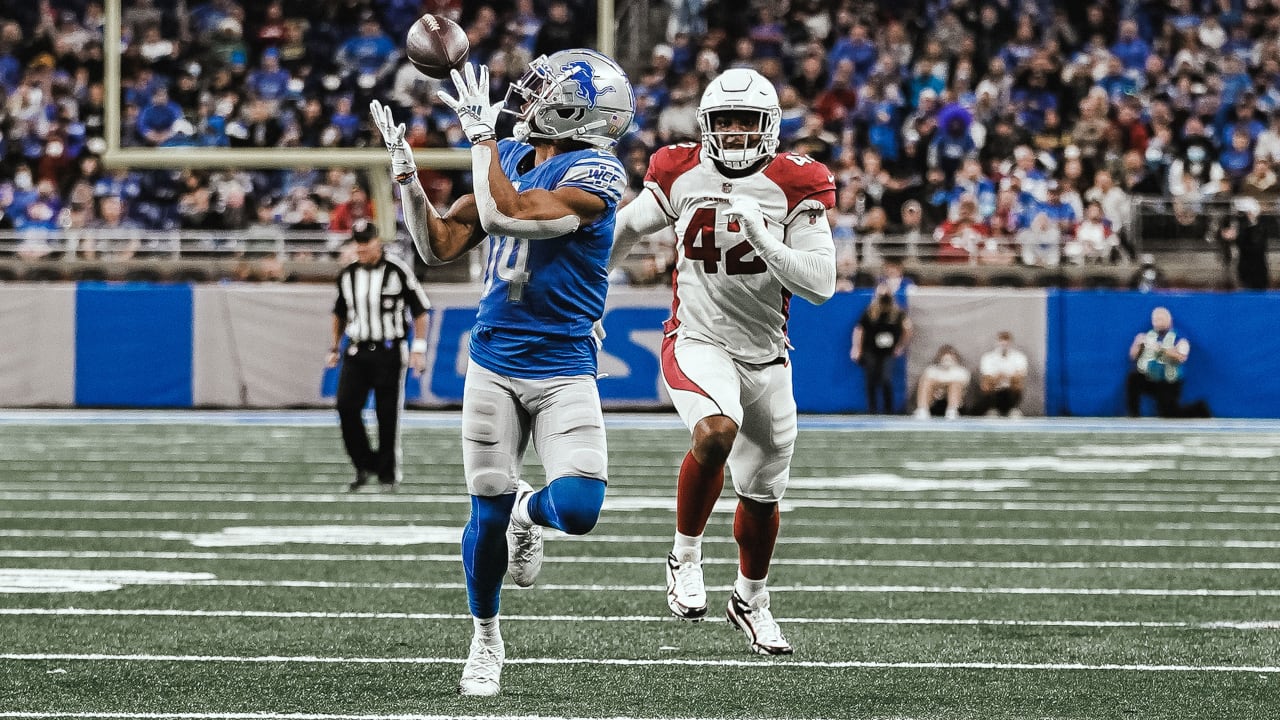 Arizona Cardinals vs. Detroit Lions - NFL Week 15 (12/19/21)