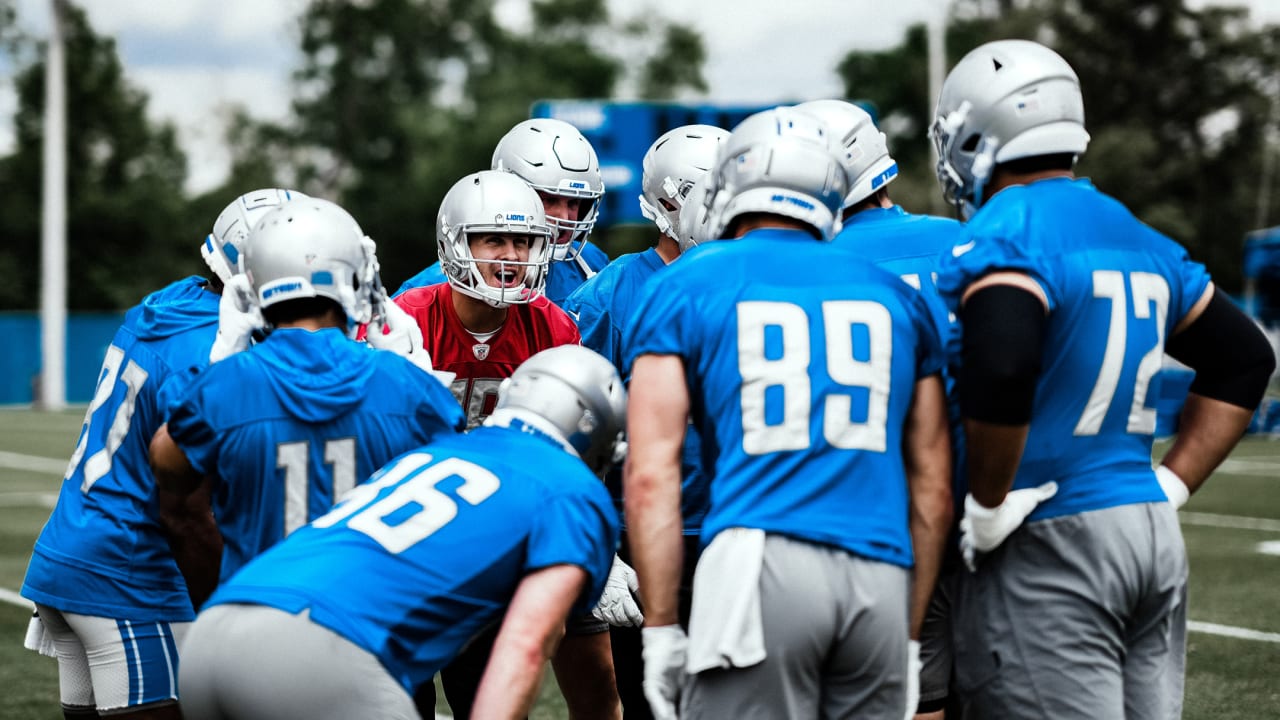 Meet the Detroit Lions roster