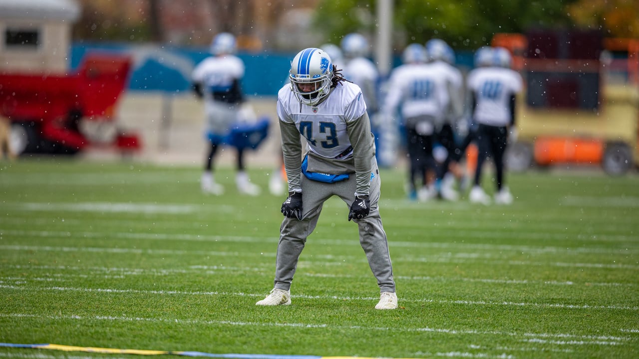 Lions Sign Rb Bo Scarbrough To Active Roster