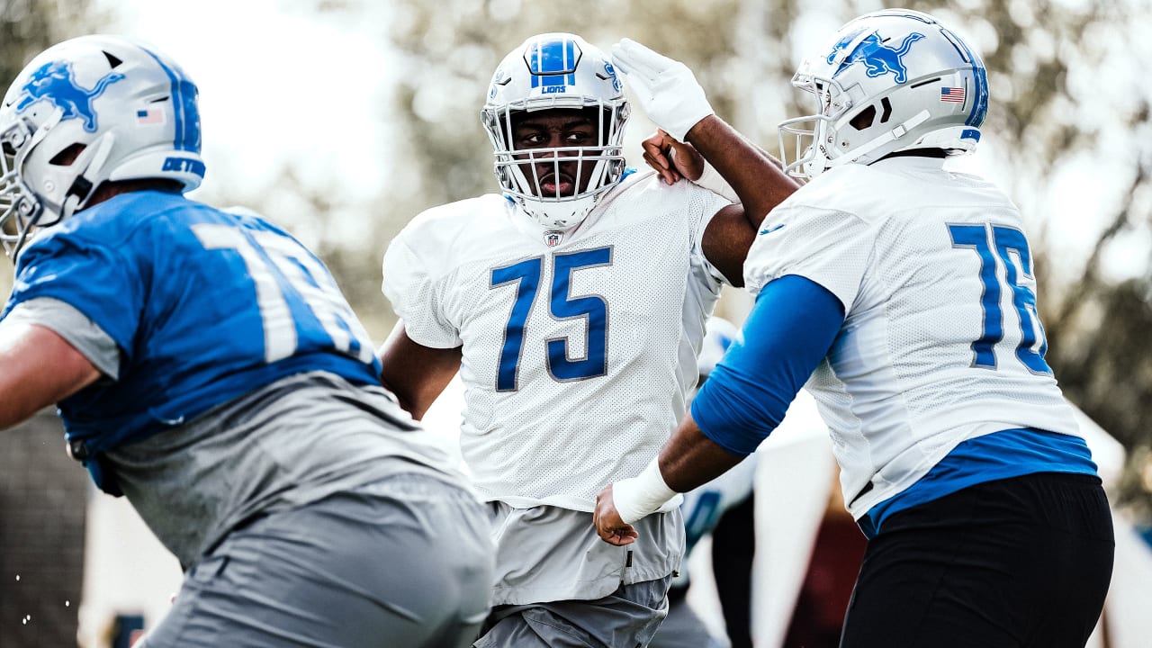 Lions Levi Onwuzurike and Alim McNeill rank high among rookie DL