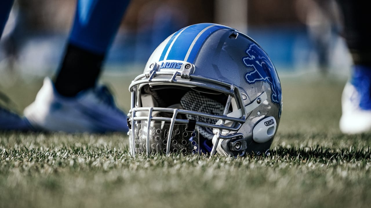 Detroit Lions NFL Helmet Vertical Flag