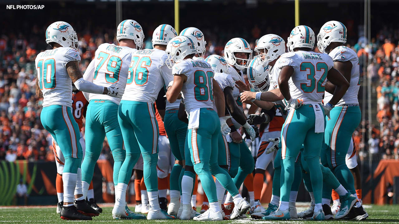 Meet the Opponent Miami Dolphins