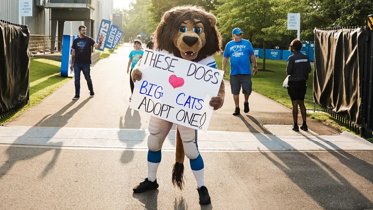 Get your dogs and cats ready to support the Detroit Lions with