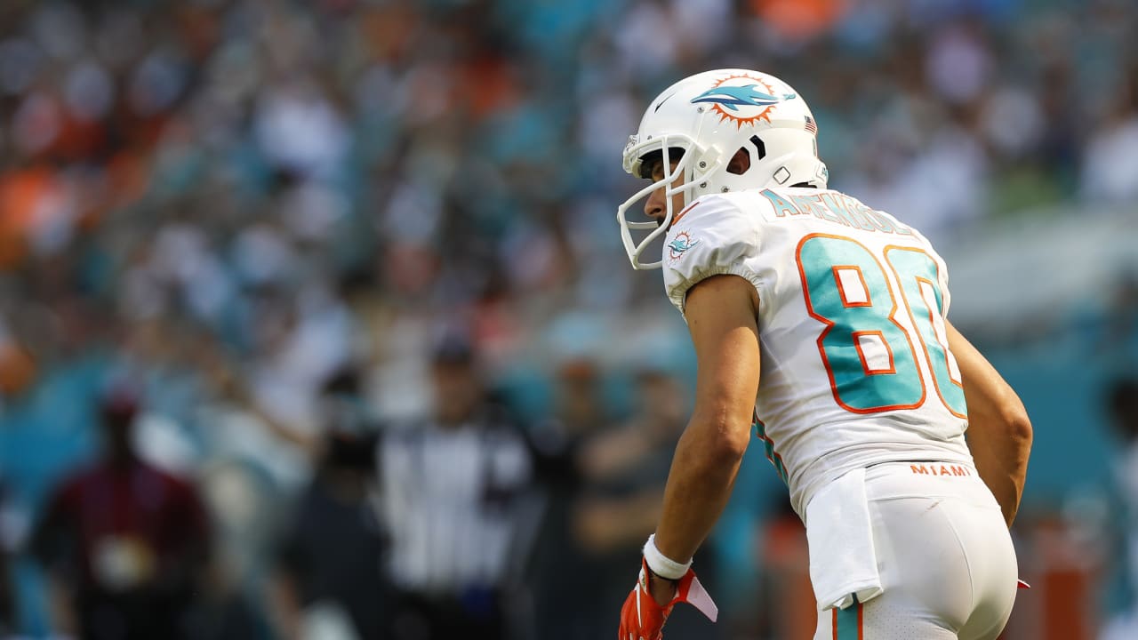 Danny Amendola highlights