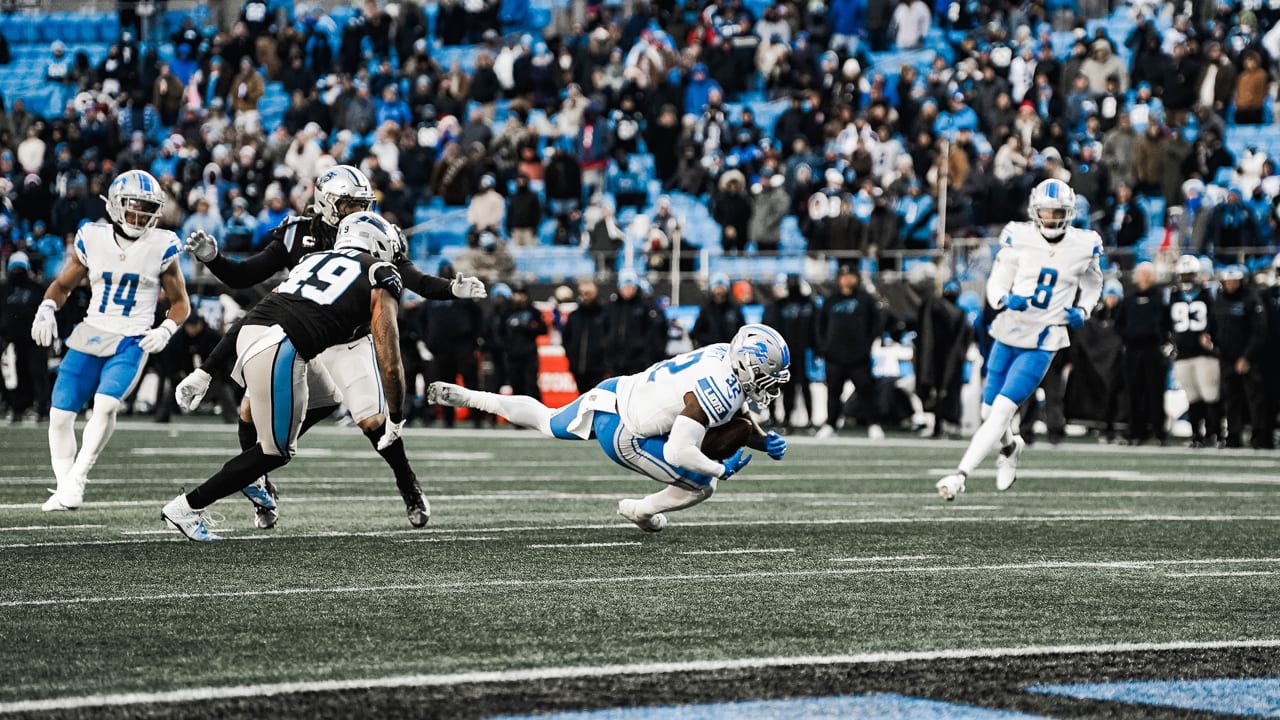 Detroit Lions fans hold up signs for third down against the