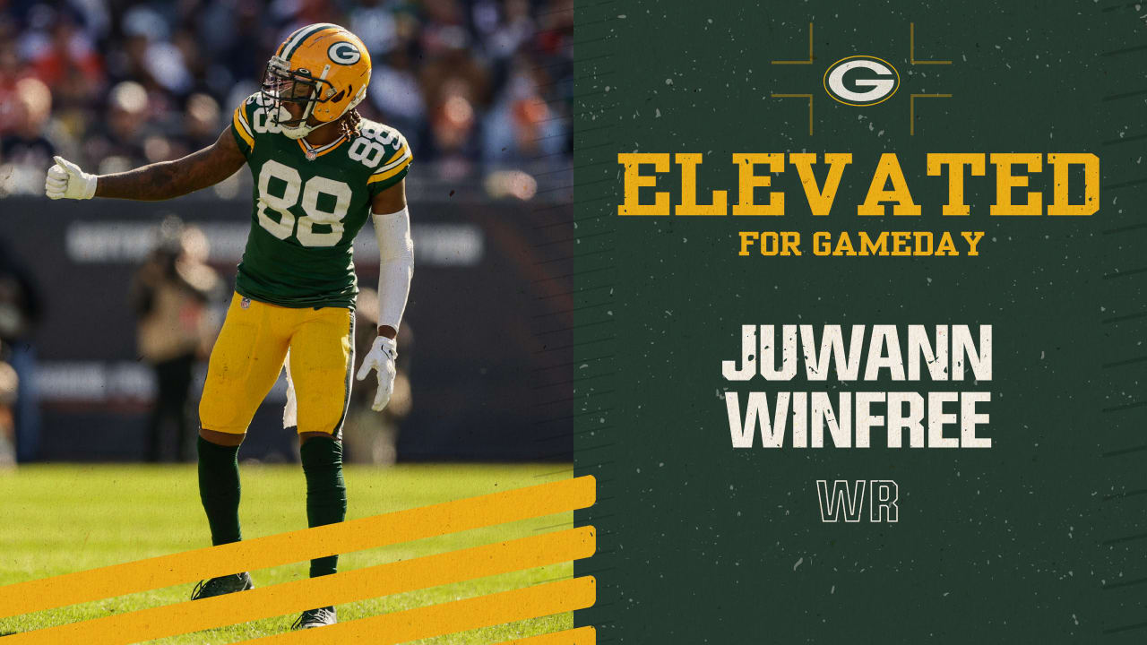 Packers elevate WR Juwann Winfree for gameday as COVID-19 replacement