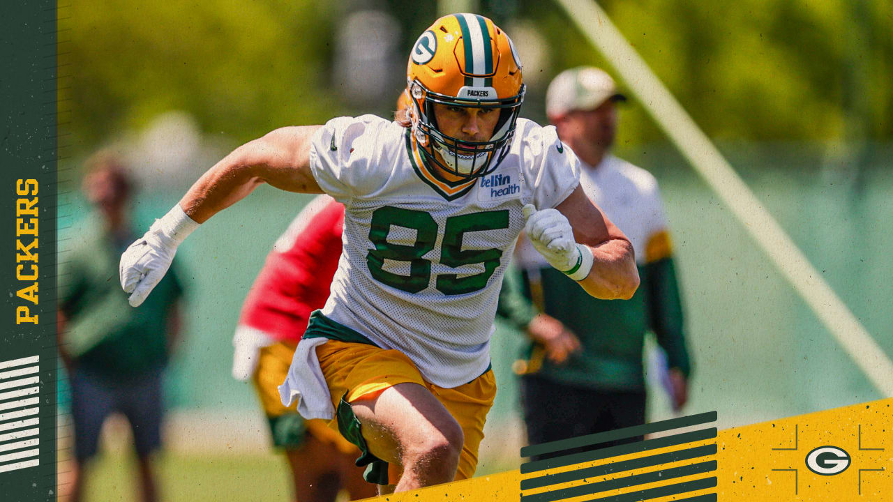 Green Bay Packers TE Robert Tonyan Finishes the Fantasy Football Season  Strong