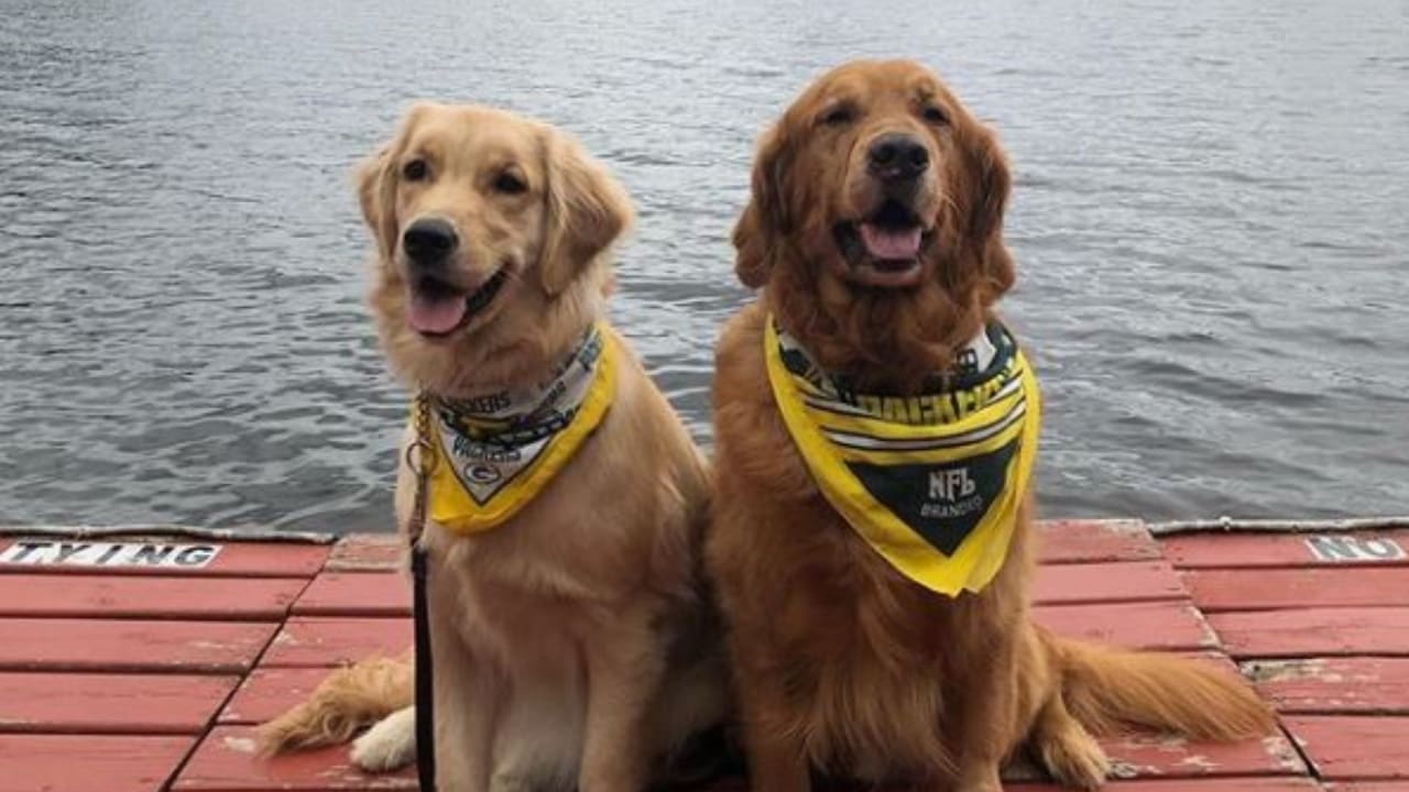 packers dog