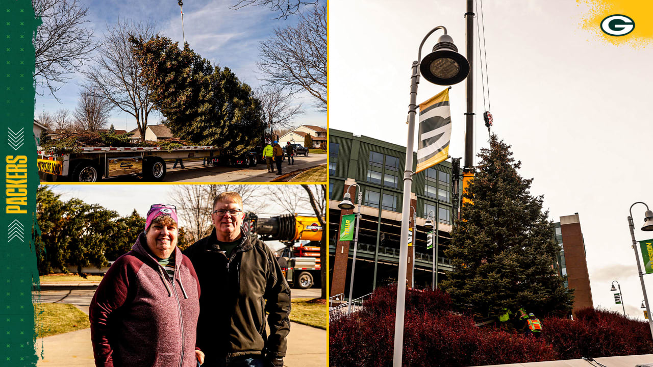 Photos Festival of Lights tree harvested for Lambeau Field