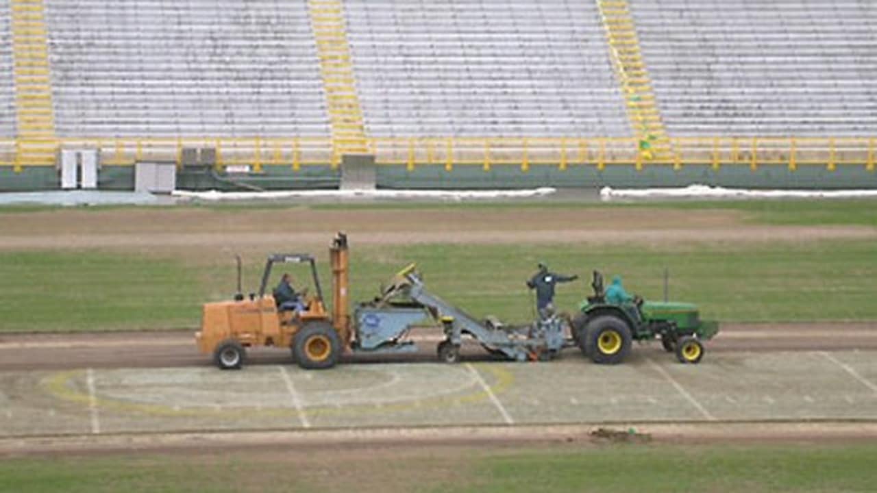 Lambeau Field Turf