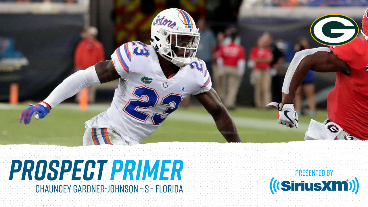Prospect Primer S Chauncey GardnerJohnson
