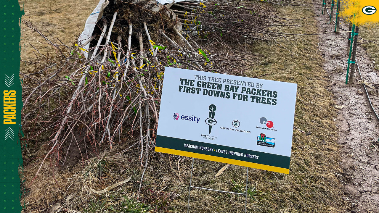 Green Bay couple donates tree for Packers' 'Festival of Lights'