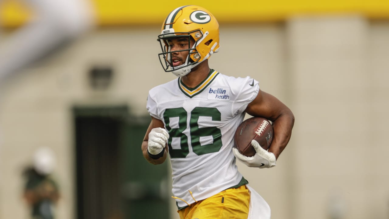 Packers WR Malik Taylor has persevered against long odds