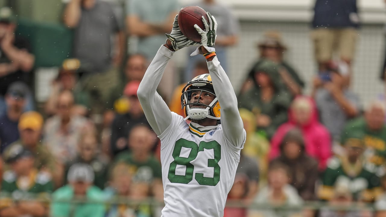 2019 Fantasy Football Marquez Valdes-Scantling Player Profile