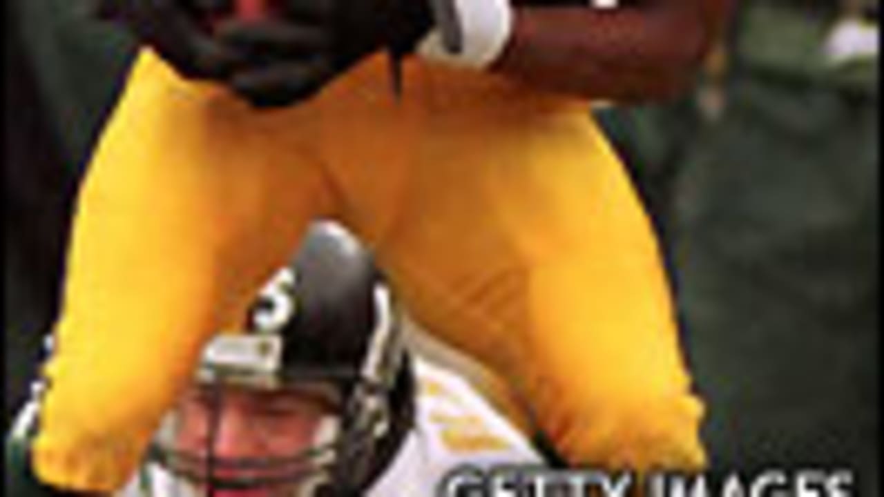 87 Days Until Green Bay Packers Football: Greatest Player #87- Robert Brooks