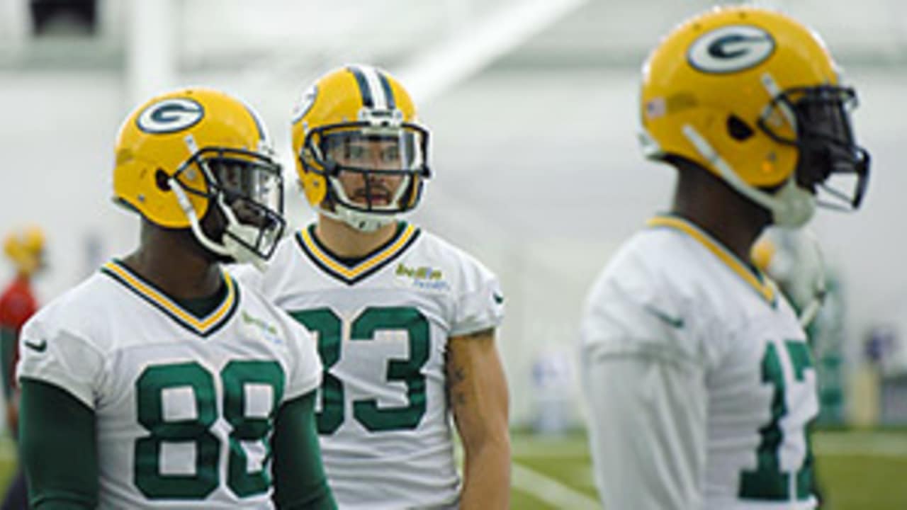 NFL: Jermichael Finley shining in Packers camp