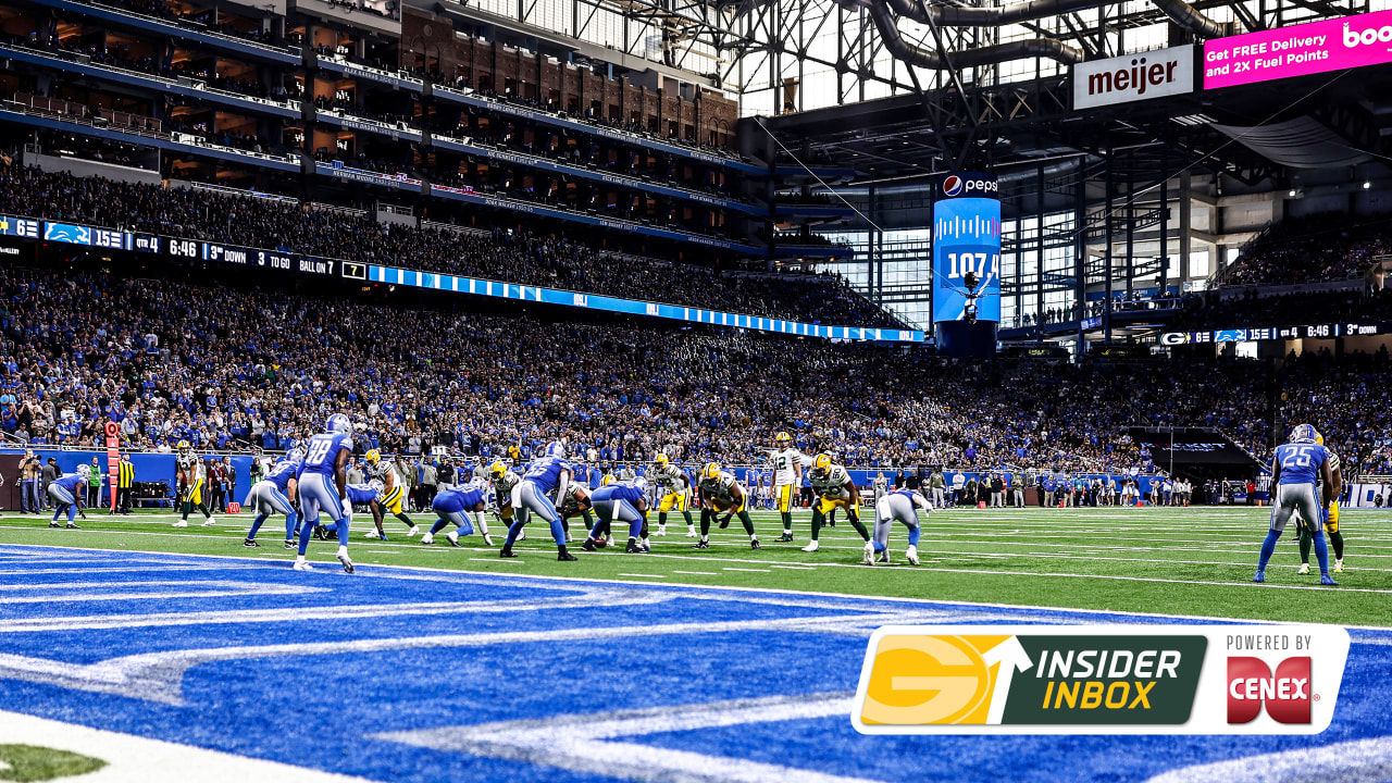 Detroit Lions Panoramic Poster - Ford Field