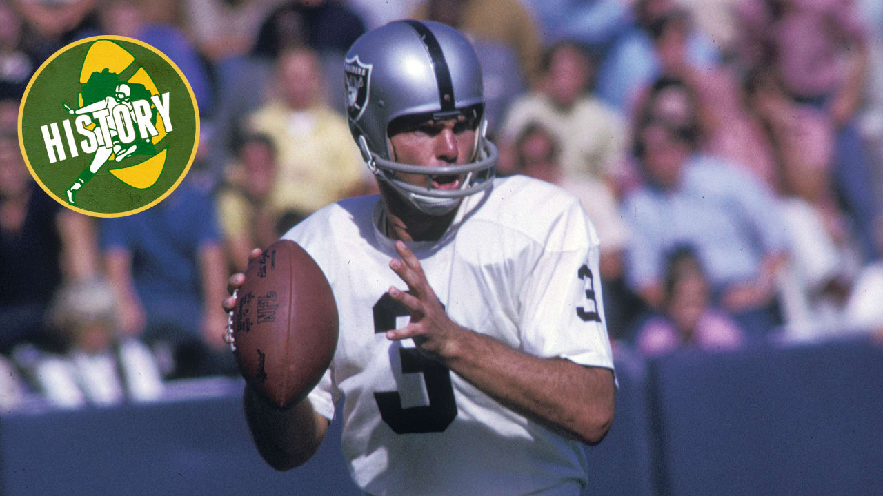 Bill's Update Blog: 1963 Oakland Raiders