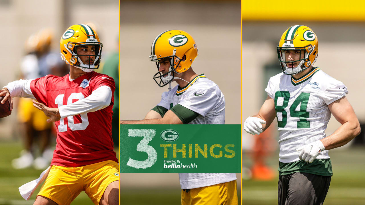 Green Bay Packers tight end Tyler Davis (84) gets set before a