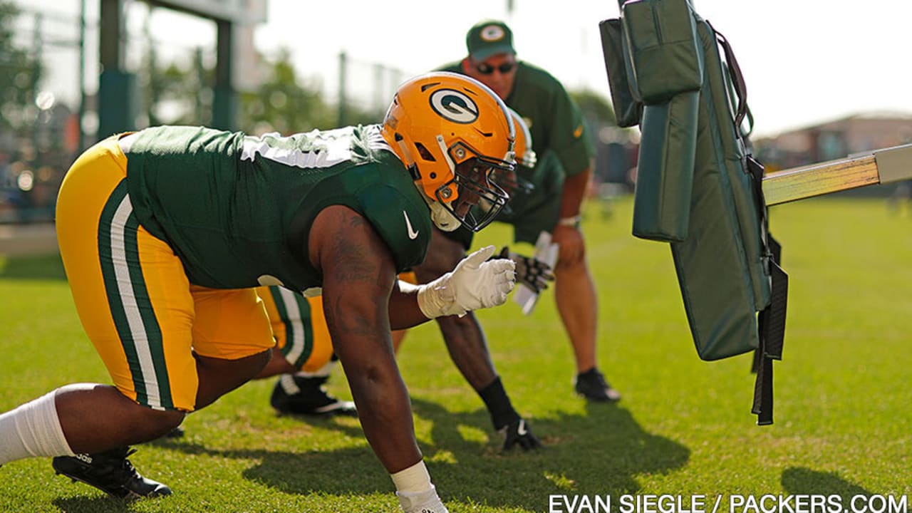 Brian Price: Release of Packers D-lineman Letroy Guion opens door