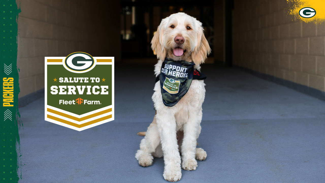 Green Bay Packers Dog Apparel and Accessories