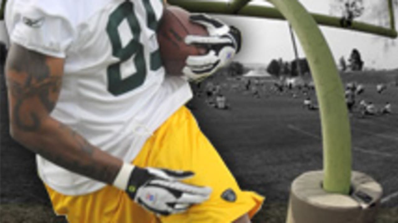 Long road to success for Jermichael Finley