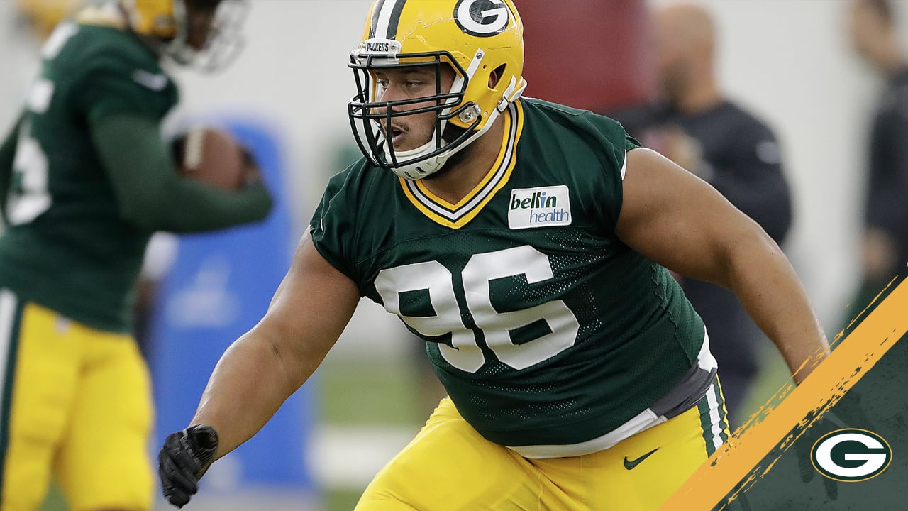 Packers sign DL Brian Price to practice squad