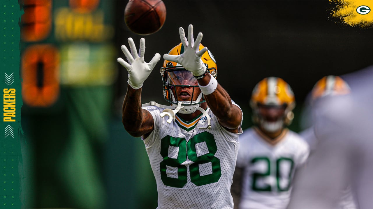 Juwann Winfree catches for a 4-yard Touchdown vs. Chicago Bears 