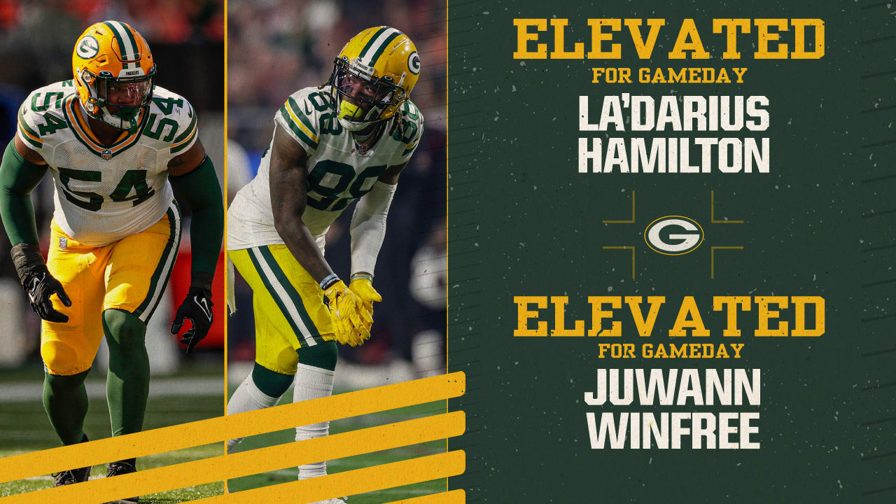 Packers elevate LB La'Darius Hamilton, WR Juwann Winfree for gameday