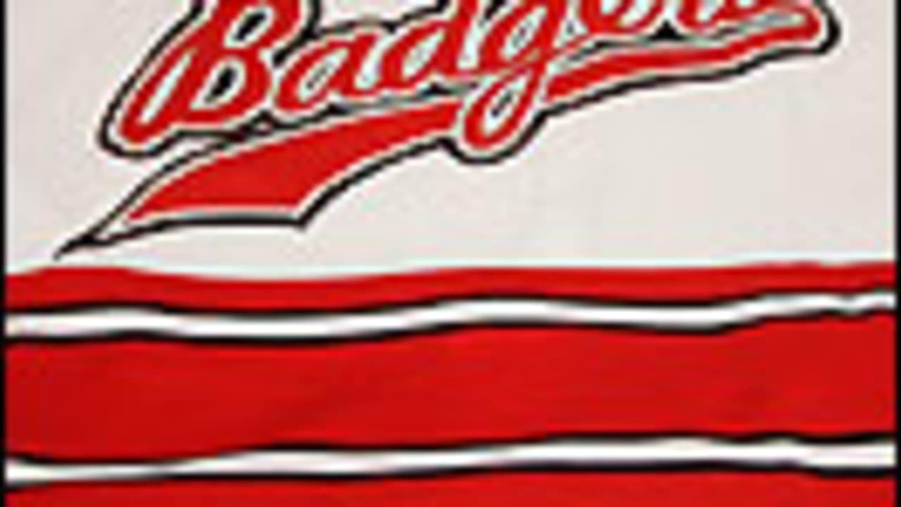 Wisconsin Announces Men's Hockey Jersey Auction