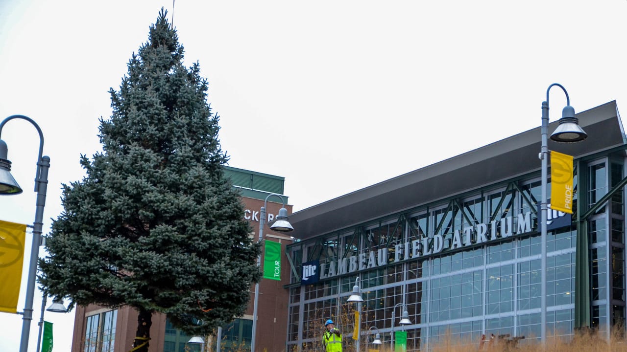 Packers seeking tree for Festival of Lights at Lambeau Field