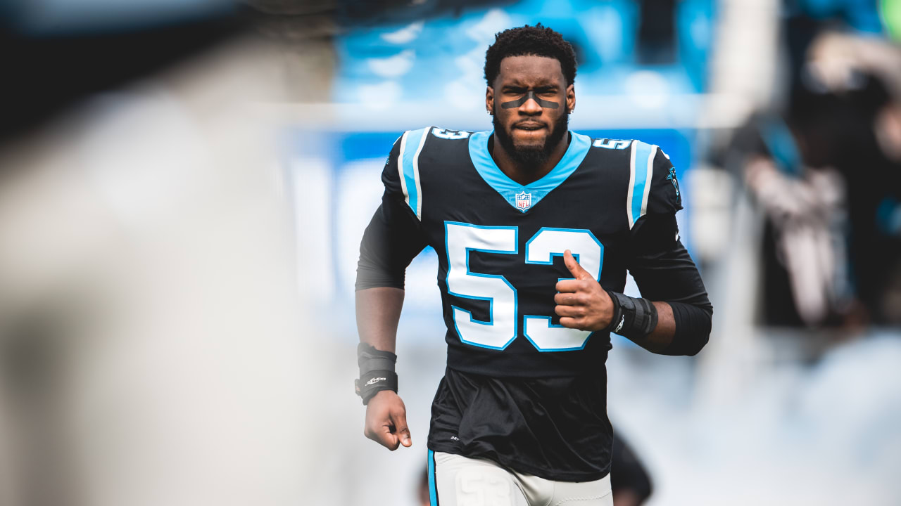 The Carolina Panthers' road to Super Bowl 50 heartbreak, NFL News