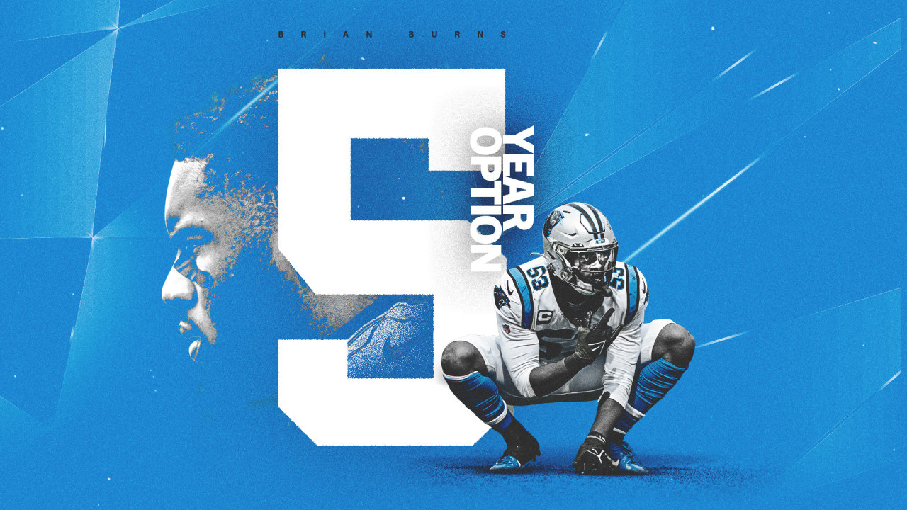 cool detroit lions pfp｜TikTok Search