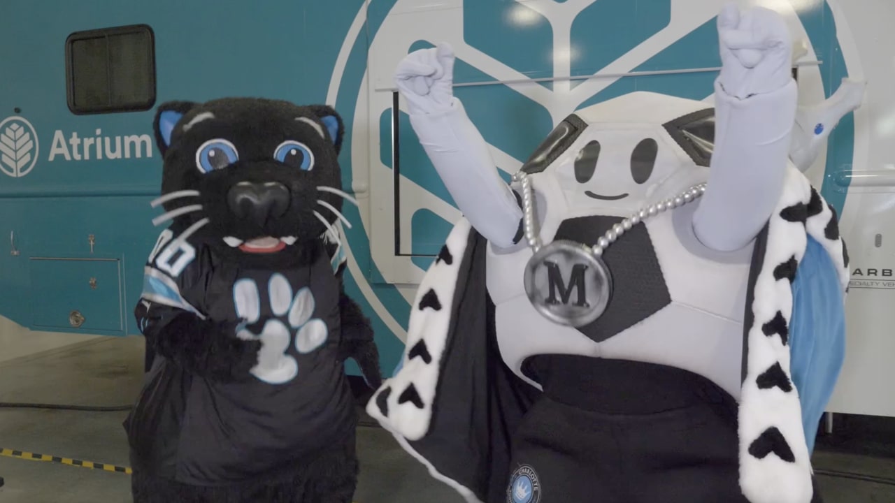 Carolina Panthers mascot Sir Purr signs autographs for an