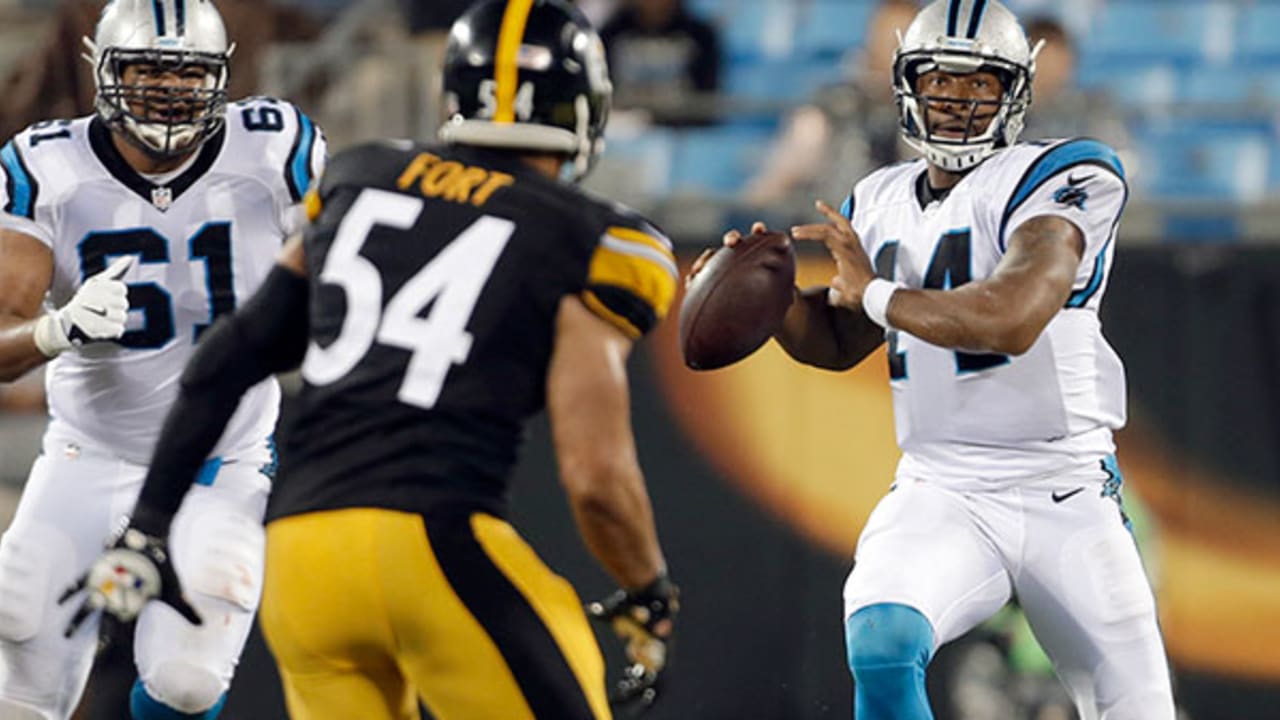 Panthers defeat Steelers 18-6 in preseason game