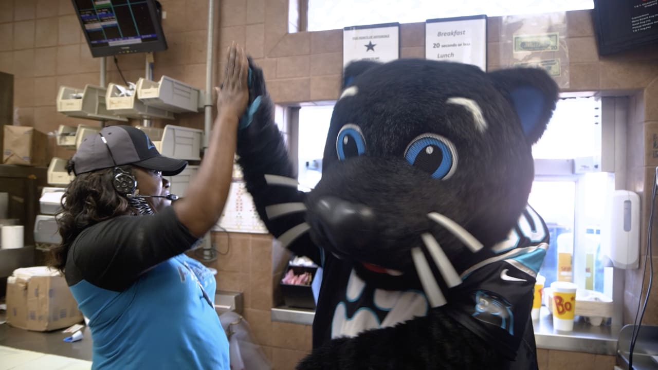 Carolina Panthers mascot Sir Purr signs autographs for an