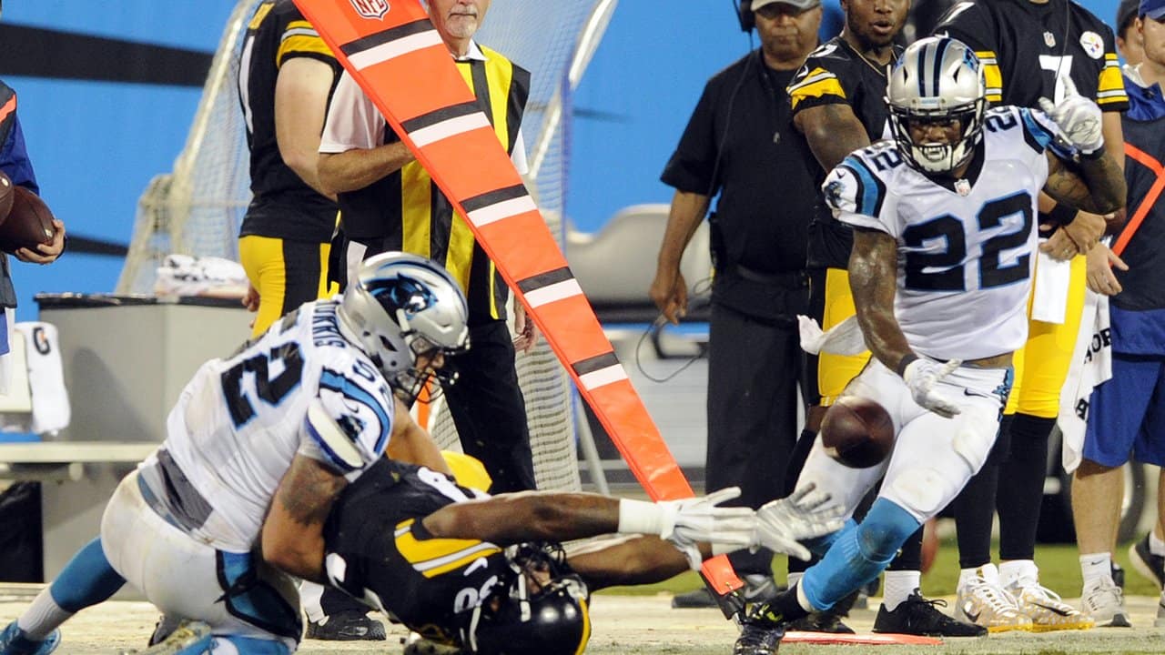 Panthers defeat Steelers 18-6 in preseason game