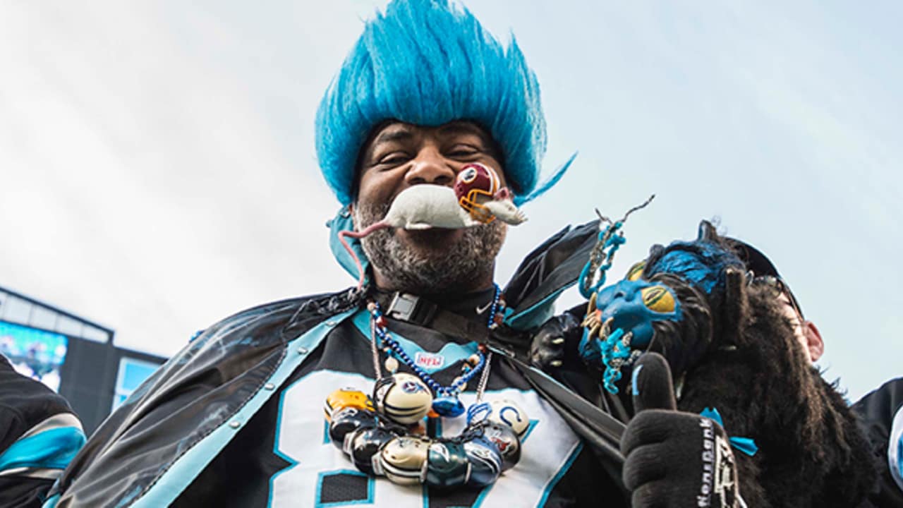 Carolina Panthers Fan With Mask Stock Photo - Download Image Now - NFL, Fan  - Enthusiast, Carolina Panthers - iStock