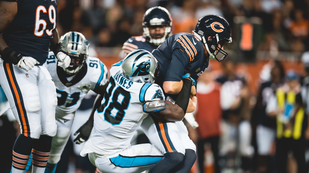 Panthers At Bears Game Photos