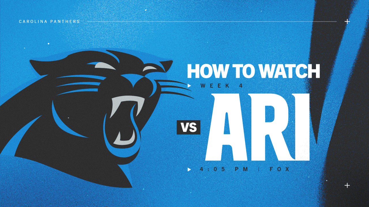 What TV channel is Panthers-Seahawks on today? Live stream, how to watch  online, time 