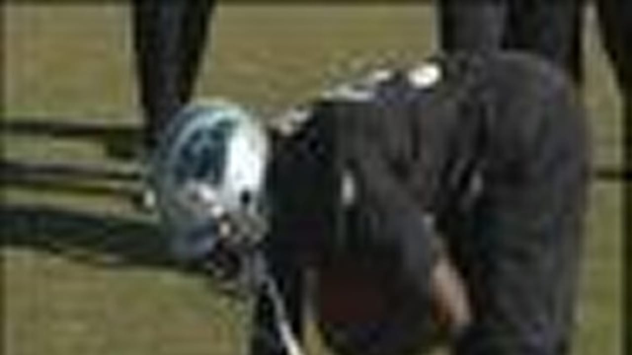 Mike Goodson One on One