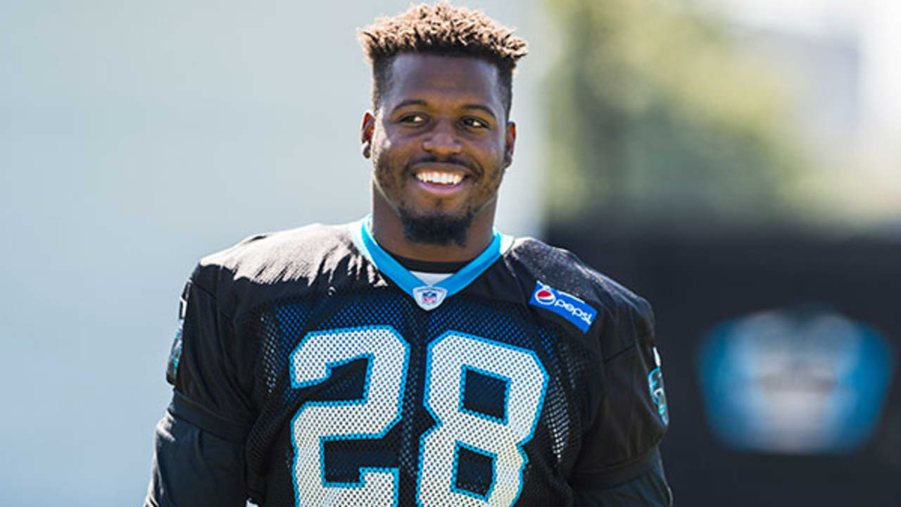 Panthers hope Stewart can boost run game