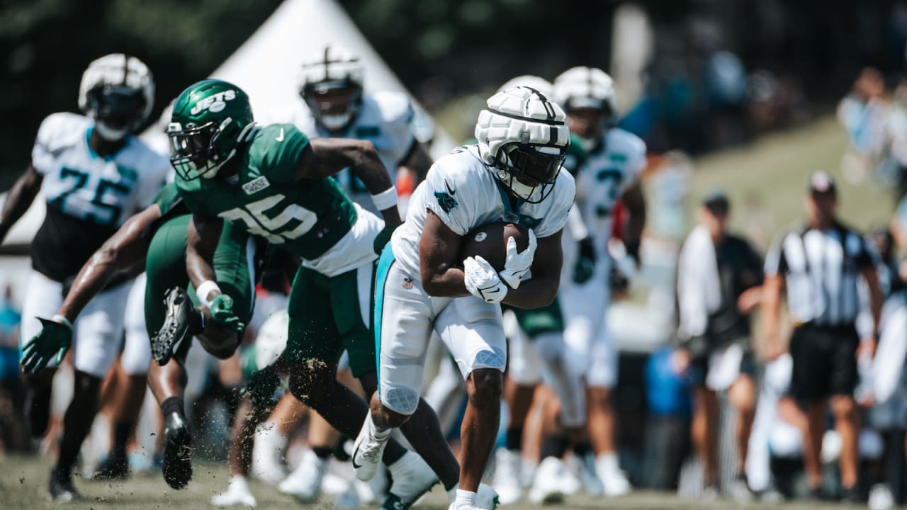 Live Updates Panthers vs. New York Jets
